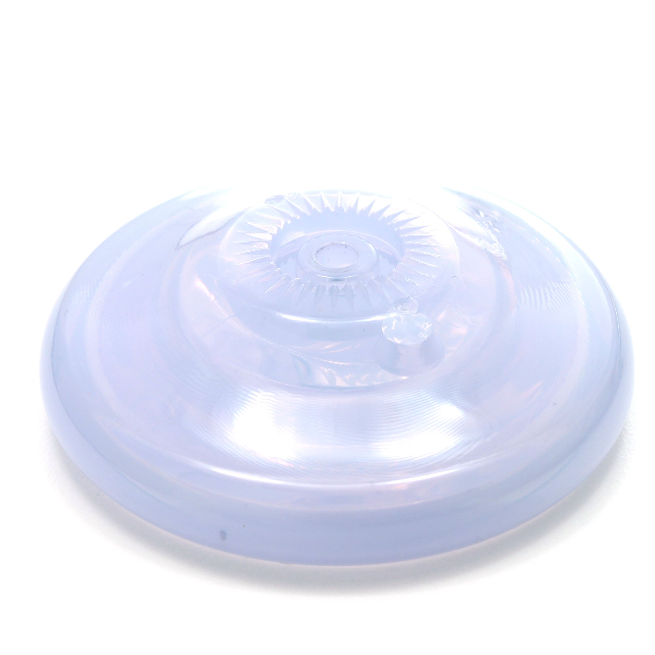 アライズ (2023WYYC)