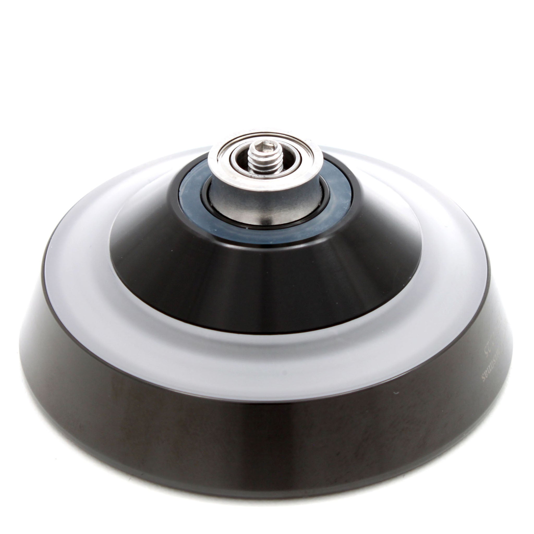 ワイルドトリオ