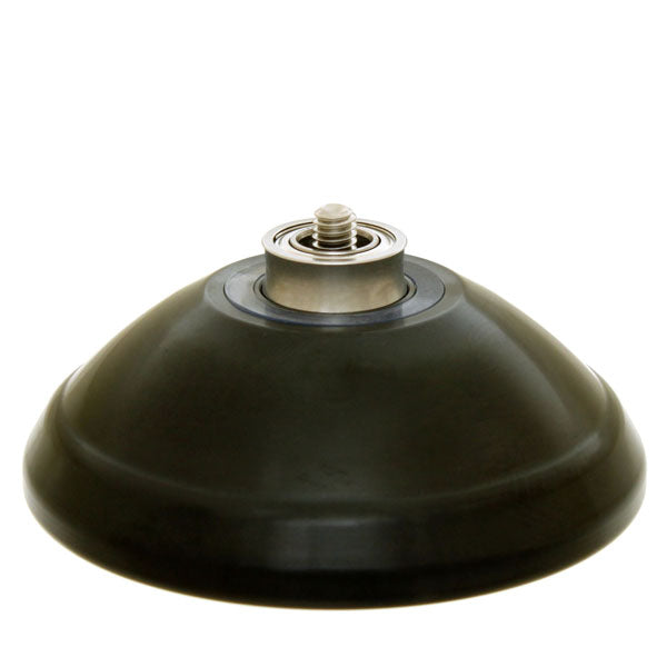 アングラム TISS