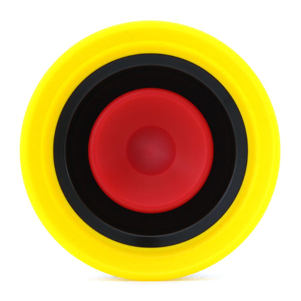 ビッグピクチャー