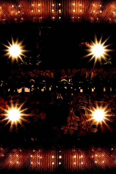 2010世界大会公式フォトブック