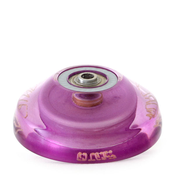 シーファックス 2010世界大会限定