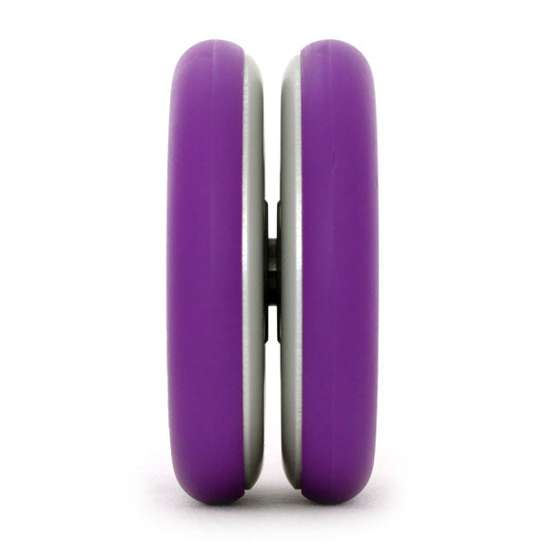 コーラルスネーク