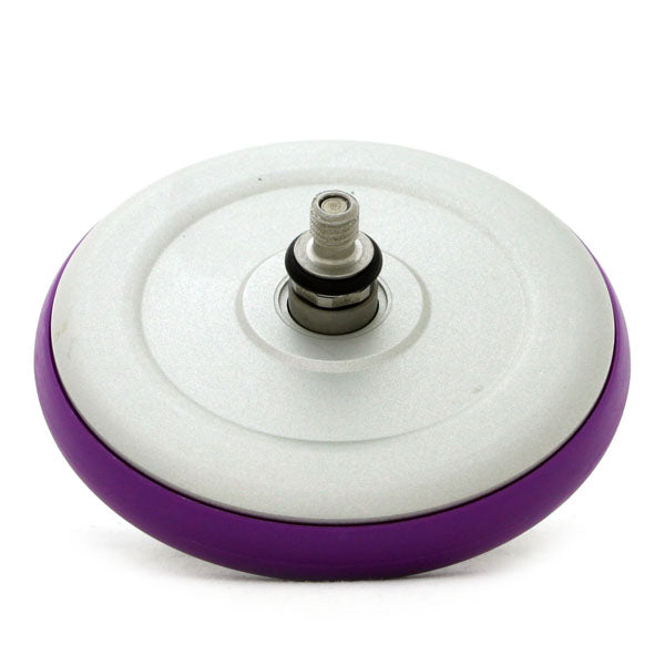 コーラルスネーク