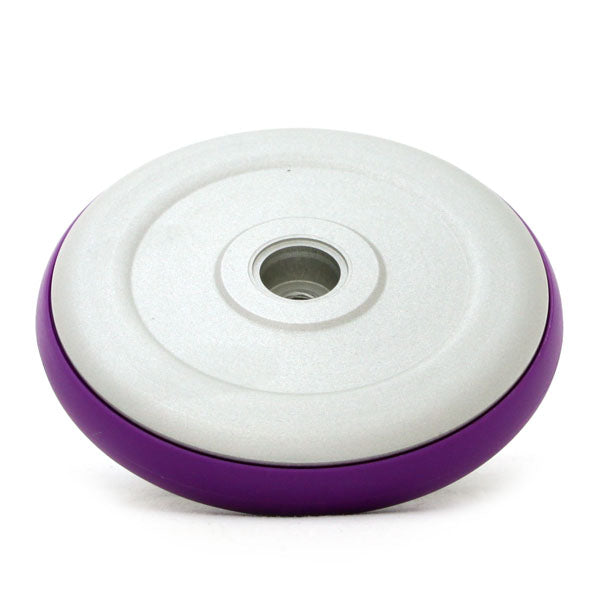 コーラルスネーク