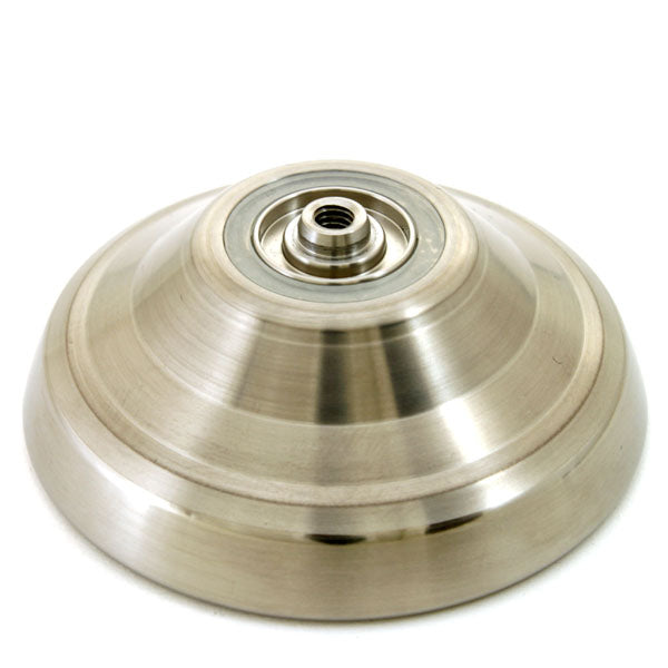 デルフィニウム