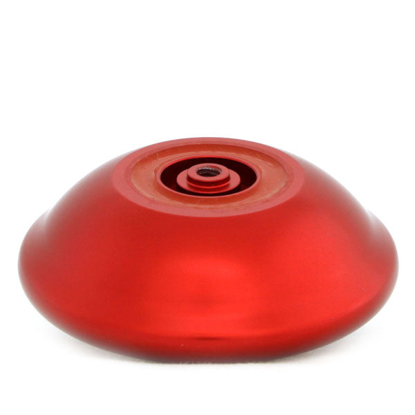 グレイハウンド