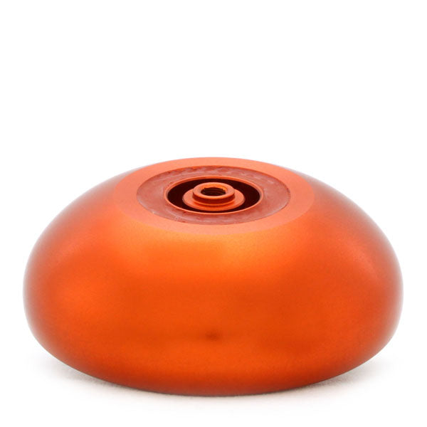 リオプレウロドン