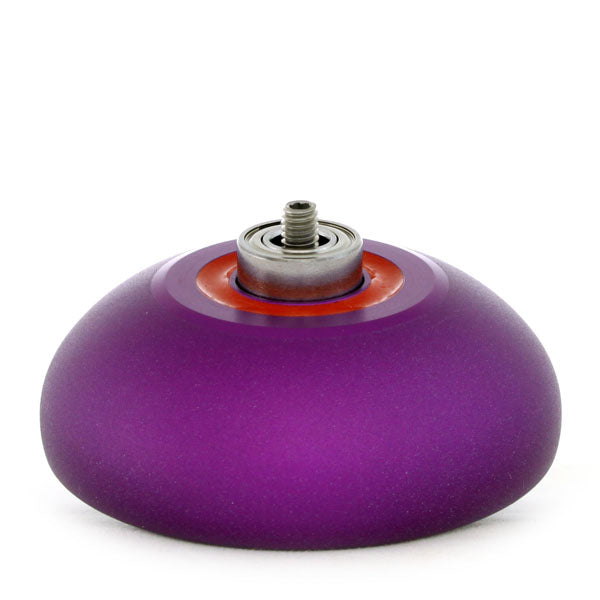 リオプレウロドン 2012