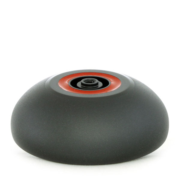 リオプレウロドン 2012