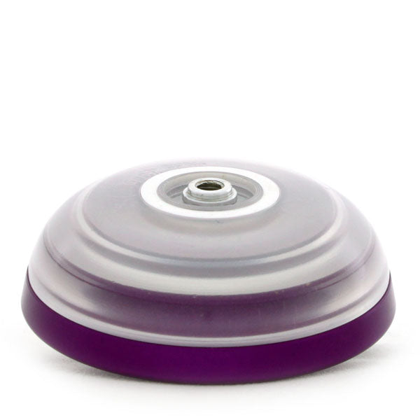 レボリューション 2010世界大会限定