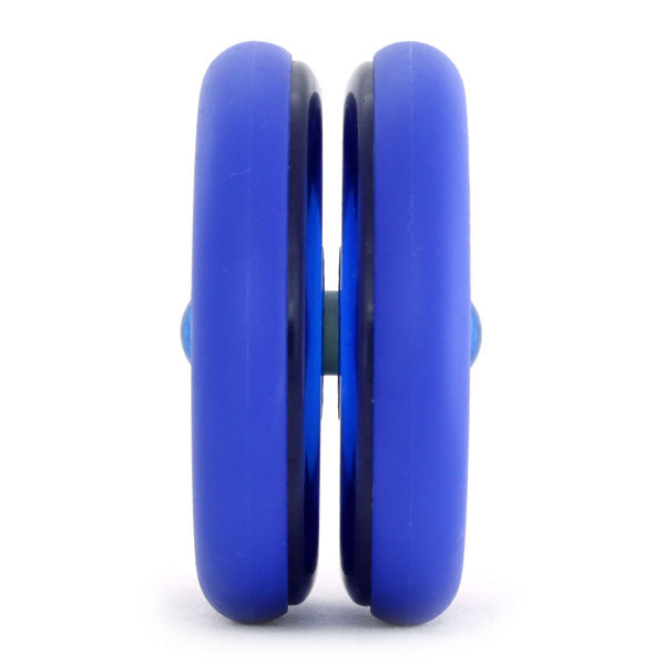 タイガースネーク