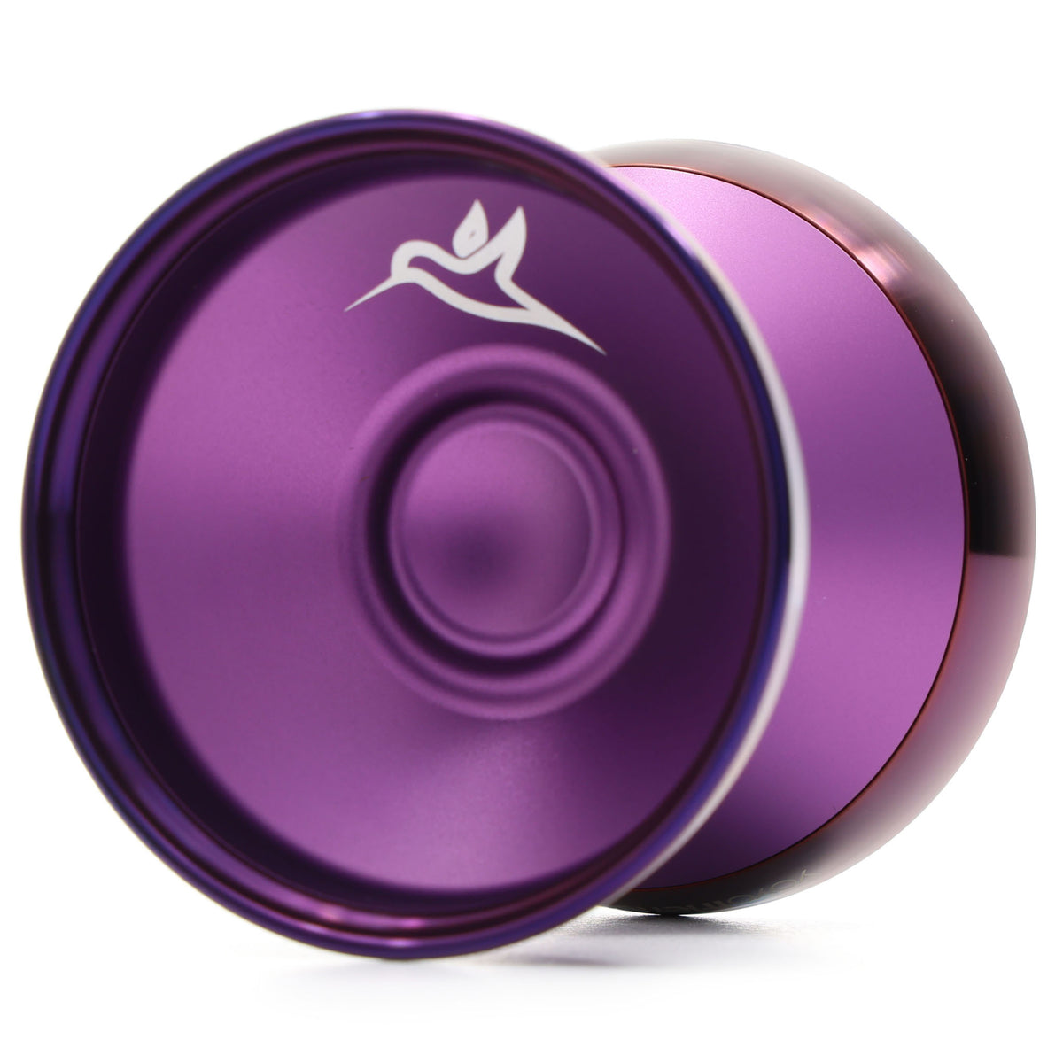 hummingbird2_13.jpg?v=